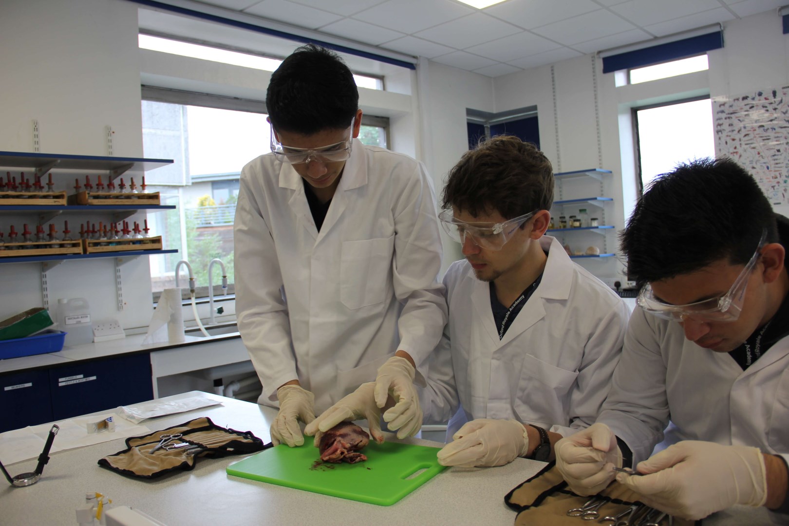 Oxford Royale Academy Cambridge Üniversitesi yaz okulu görseli 2