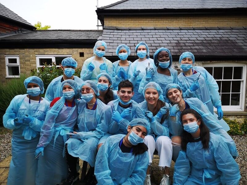 Reach Cambridge yaz okulu görseli 1