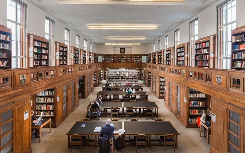 Immerse Education University College London yaz okulu görseli 4