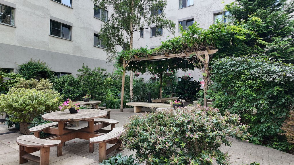 Kings Discover UoL yaz okulu görseli 2