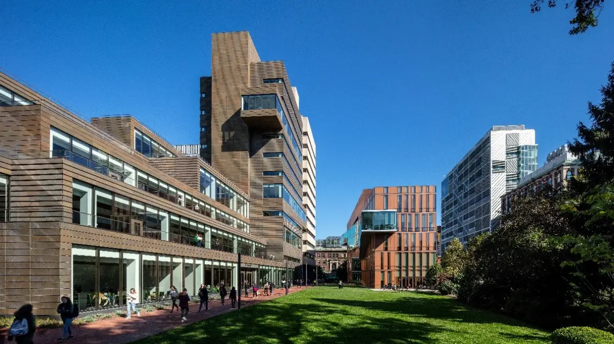 Immerse Education New York Career Insights kampüs görseli