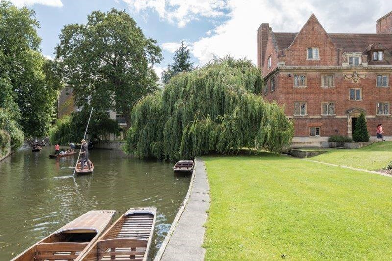 Bucksmore St Hilda's College Oxford yaz okulu görseli 2